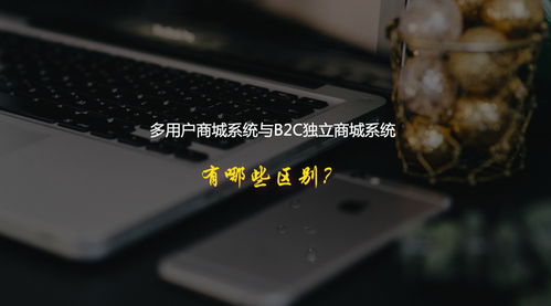 多用户商城系统与b2c独立商城系统有哪些区别